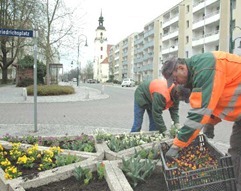 110409pflanzaktionforst