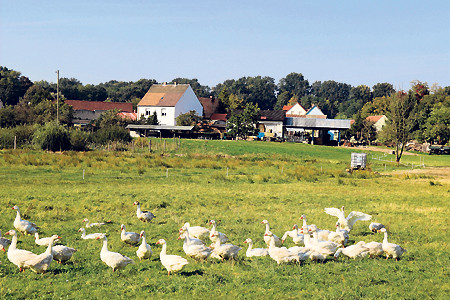 151010cantdorf