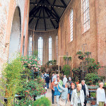 Einen „Oscar“ wert: Fuchsien im sakralen Raum in St. Johannis in Brandenburg Hnr.