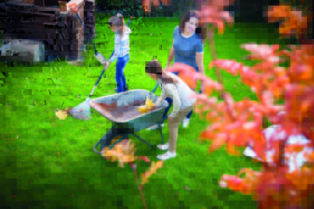 Damit der Rasen den Winter gut übersteht, sollte er im Herbst mit einem Kaliumdünger gestärkt werden. Foto: Neudorff/txn