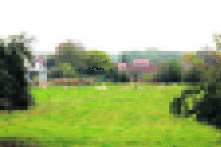 Ländliche Idylle prägt den Stadtteil Cantdorf, auf den Besucher von der Berliner Straße einen Panoramablick genießen können