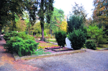 Gepflegte Gräber sind ein Zeichen gegen das Vergessen - und ein Symbol der Wertschätzung für die Menschen, die uns nahe waren. Hier ist ein Ausschnitt des Cottbuser Südfriedhofes zu sehenFoto: Carolin Hartz