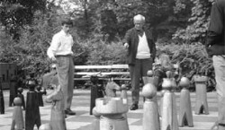 Cottbus: Schachmatt dem Schach im Park