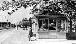 Guben: Der Kiosk unterm Zierkirschenbaum