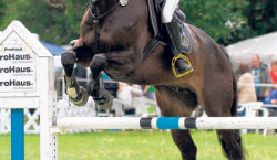 150 Pferde überspringen am 27. und 28. Juni Kunersdorfer Parcour