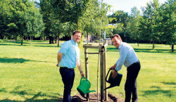 Lauchhammer: Luthereiche wächst im Schlosspark