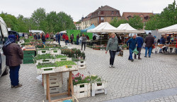 Cottbus: Wochenmarkt findet wieder statt