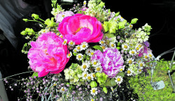 Sag’s mit Blumen: Sonntag, 14.02.21, ist Valentinstag