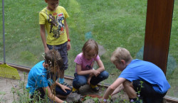 Senftenberger Ferienprogramm Agenda-Diplom bietet Kindern interessante Einblicke