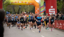 Spreewald-Marathon 2024