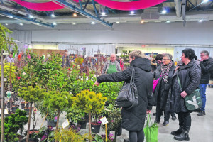 Besucherandrang auf der ersten Messe  „Gartenträume“ in Cottbus