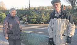 Weihnachtsbaum-Sucher werden  in Dubrauer Baumschule fündig
