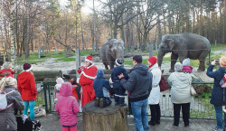 Nikolaus im Cottbuser Tierpark