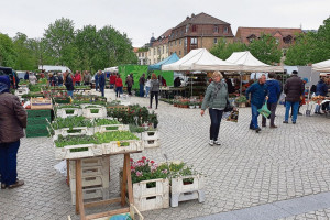 Cottbus: Wochenmarkt findet wieder statt
