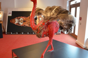Neue Körperwelten-Ausstellung des Plastinariums in Dresden