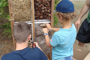 Spremberger Kinder bauen Insektenhotel