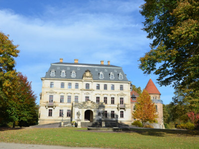Schlosspark Altdöbern im Fokus