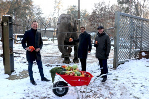 Sparkasse fördert Elefantenhaus und sorgt für Freude im Tierpark