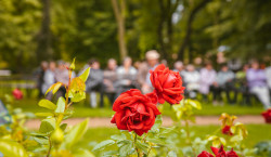 Rosengartensonntag im Zeichen der Zwanziger Jahre