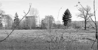 Cottbus. Spreebr&uuml;cke jetzt mit Holzbohlen