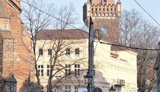 Zeit f&uuml;r den Baumschnitt