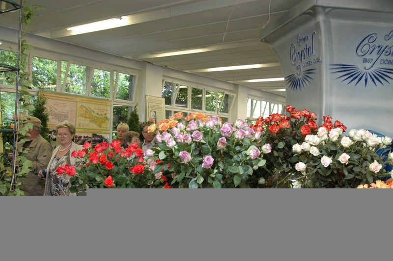 Rosengartenfesttage 2011 6