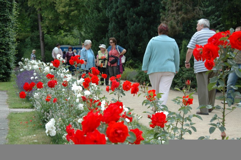 Rosengartenfesttage 2011 7