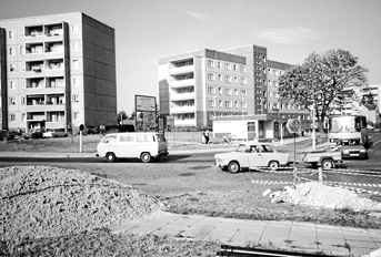 Spremberg: Der Baum steht heute noch