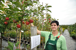 Obsttag in Dubrau