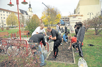 Lob an Kümmerer