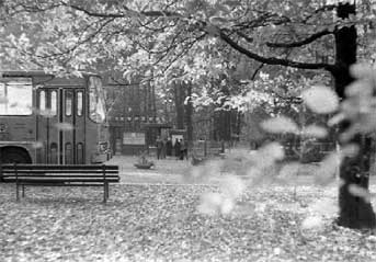 Cottbus: Bus-Haltestelle am Tierpark