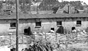 Spremberg: Schweinemästerei im Knappenweg