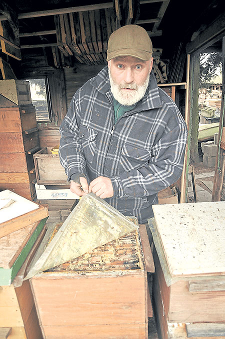 Greifbare Dorfidylle