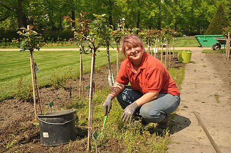 Rosengarten ist eröffnet