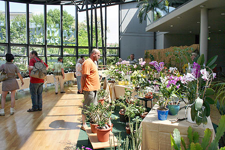 Blütenmeer mit Dornen