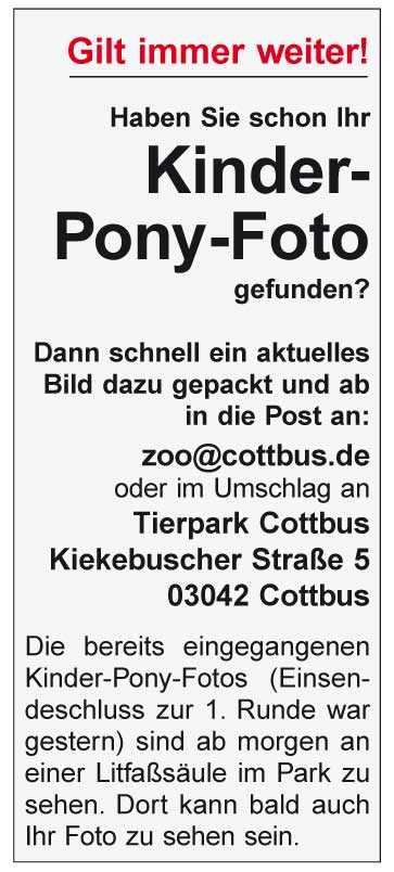 „Tierisch feiern“ heißt es heute bei Wisent, Storch, Erdmännchen, Wildpferden & Co.