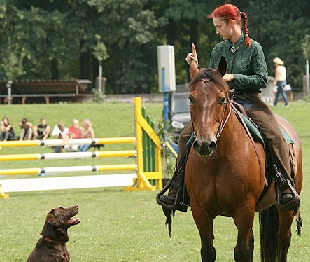 Reitertag am 14.6. an der Kutzeburger Mühle