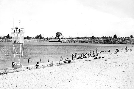 Senftenberg: Strandkorb auch bei Niesel gemietet