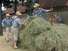 Spreewaldbauern und Handwerker haben Burg fest im Griff