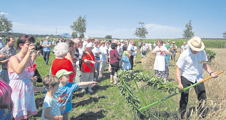 Schnitter-Fest in Groß Drewitz