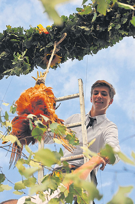 Erntekönige reiten um Superkral-Titel