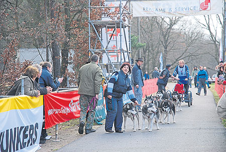 Großes Jubiläum für Schlittenhunderennen am 22. und 23. November