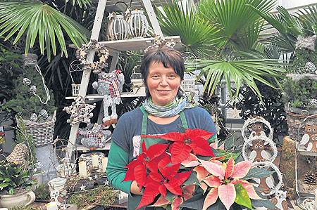 Weihnachtswelten zu entdecken