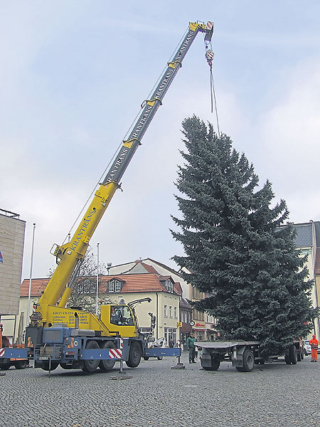 Senftenberg: Oh Tannenbaum