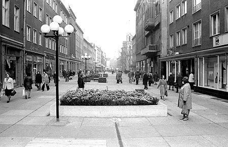Cottbus: In der Sprem leuchtete die Banane