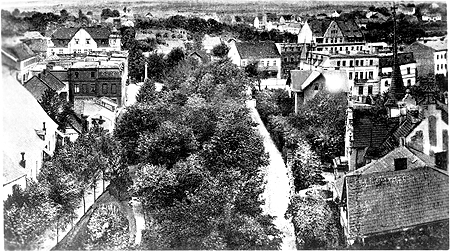 Senftenberg: Bäume mussten Steindamm weichen