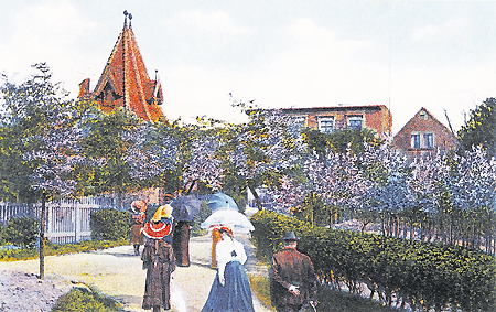 Guben: Schönstes Panorama der Baumblüte
