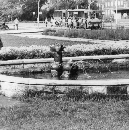 Spremberg: Der Kugelfisch speit nicht mehr