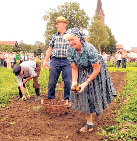 Region: Erntebilanz der Region durchwachsen