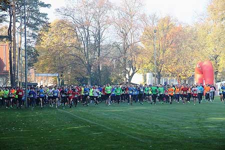 Herbstlicher Parklauf in Branitz